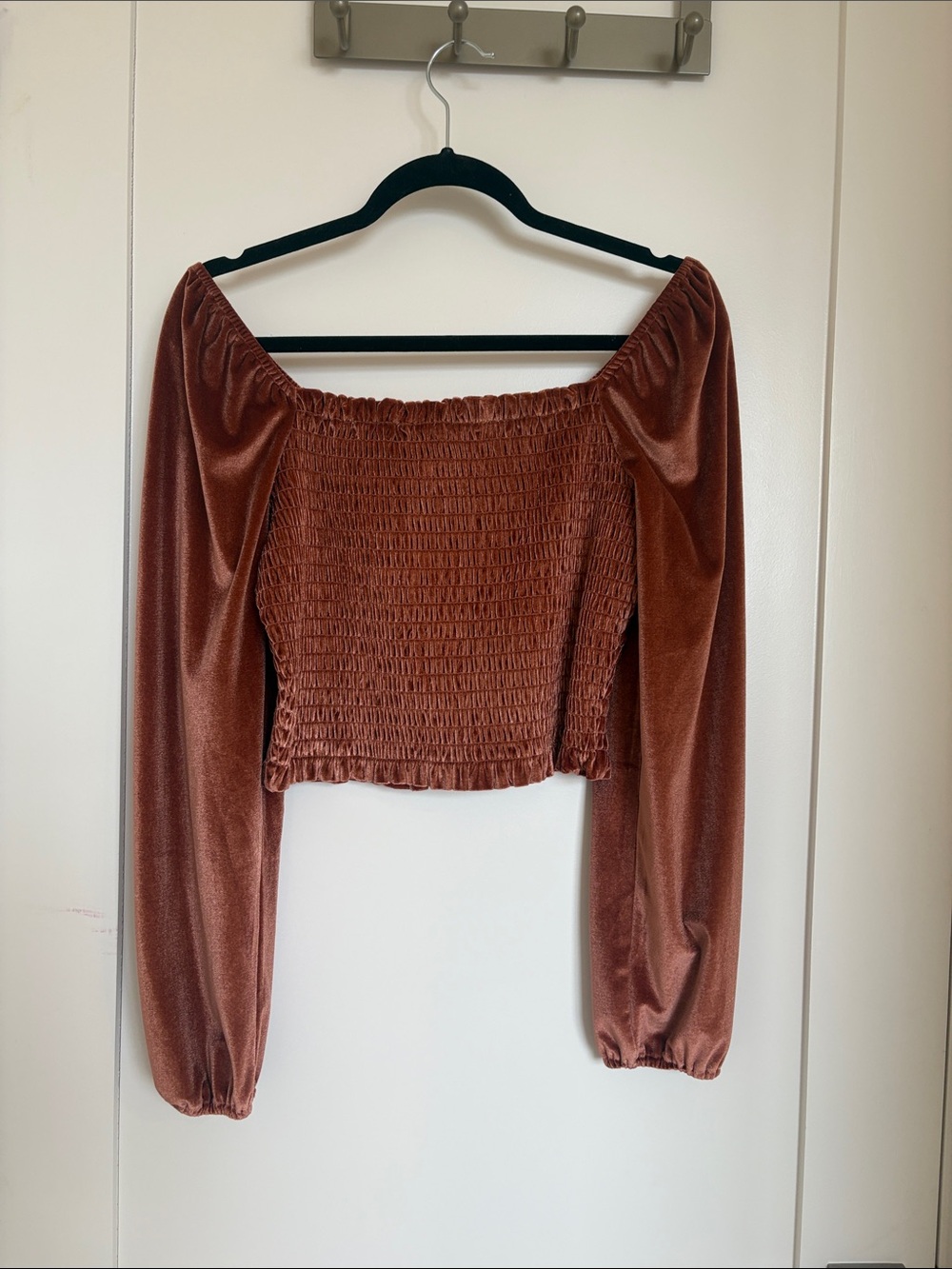 Off-Shoulder Smocked Velvet Crop Top in Rust